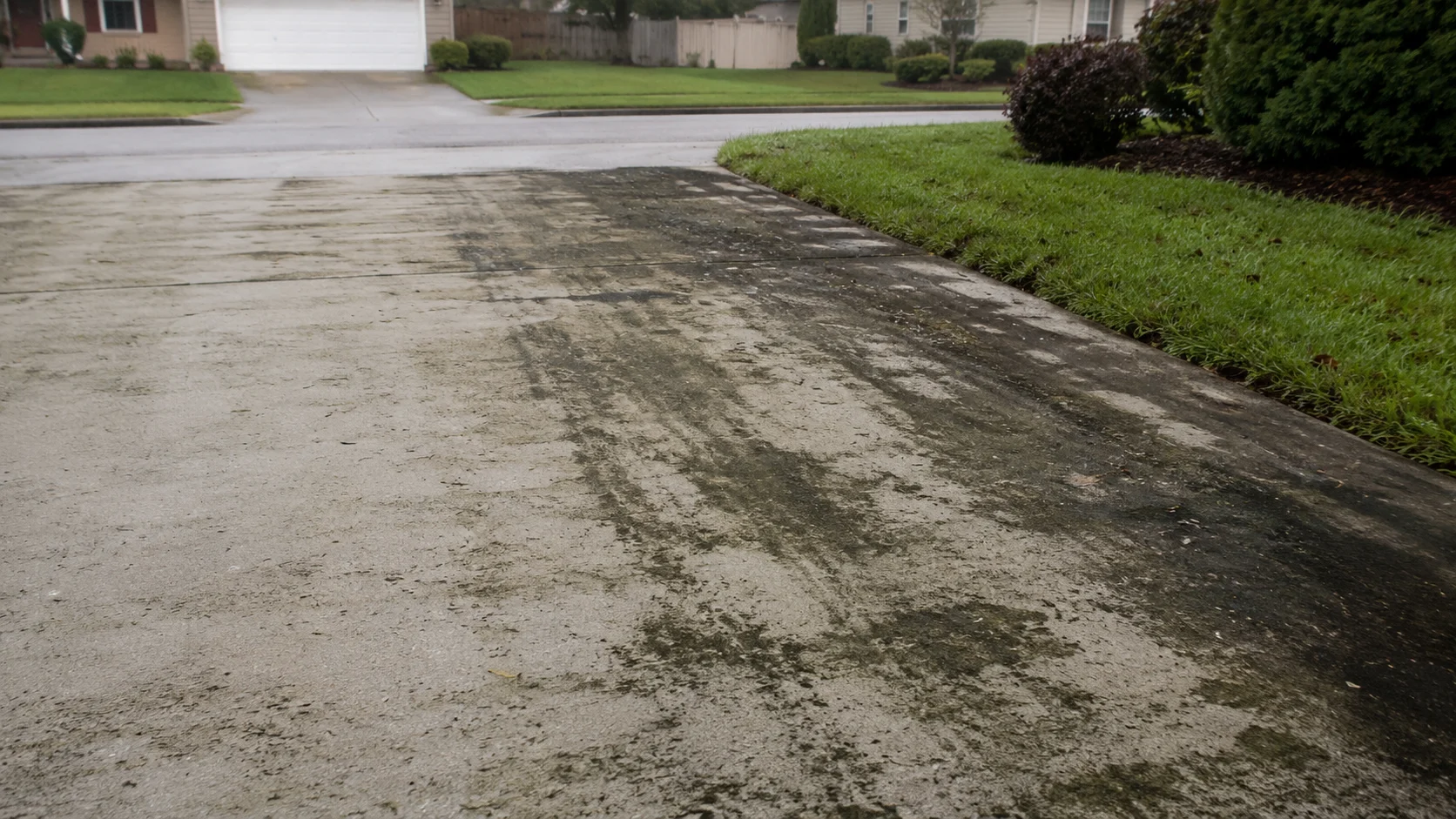 Black algae streaks on a concrete driveway in Palmetto, FL